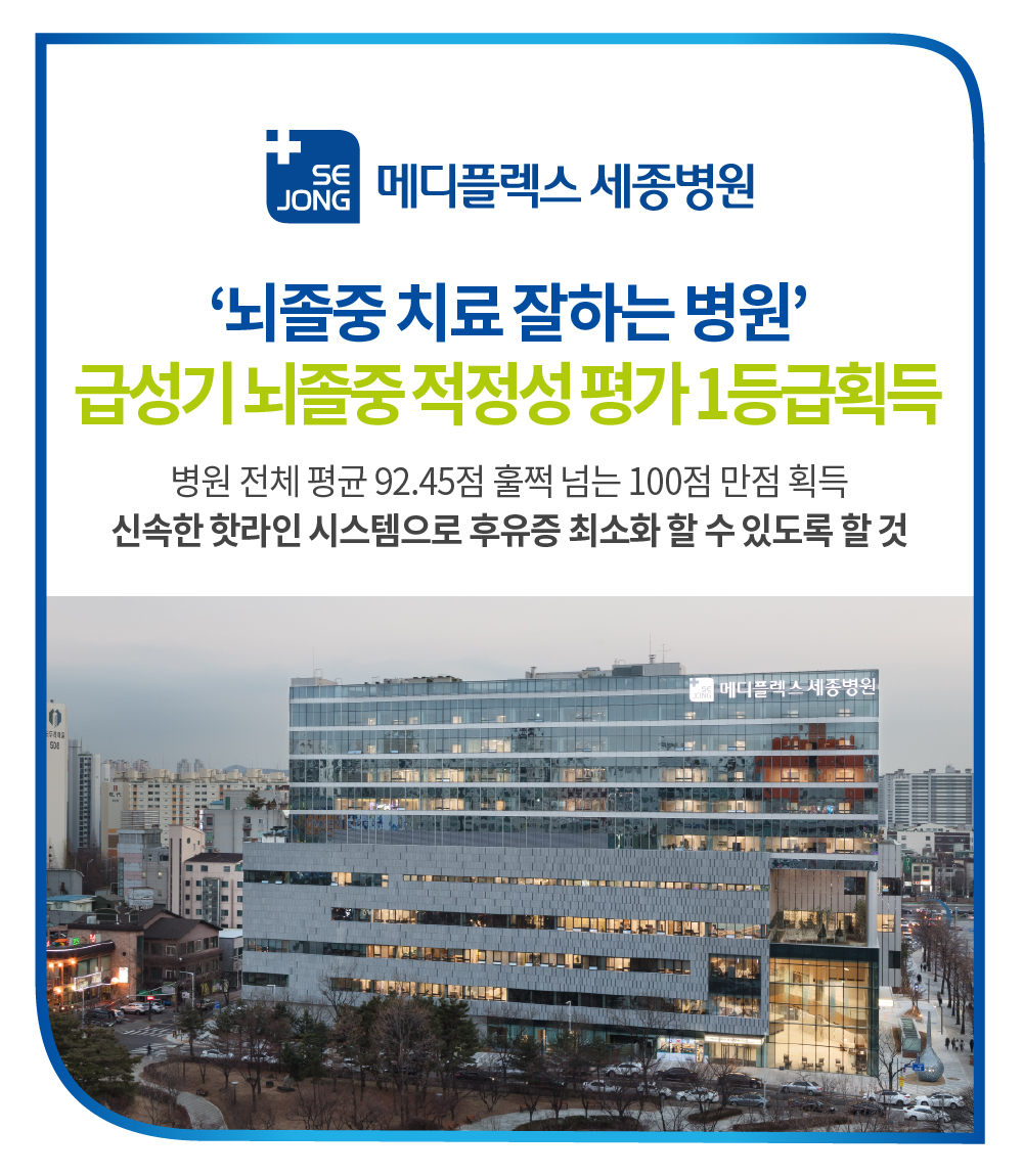 메디뇌졸중적정성.jpg